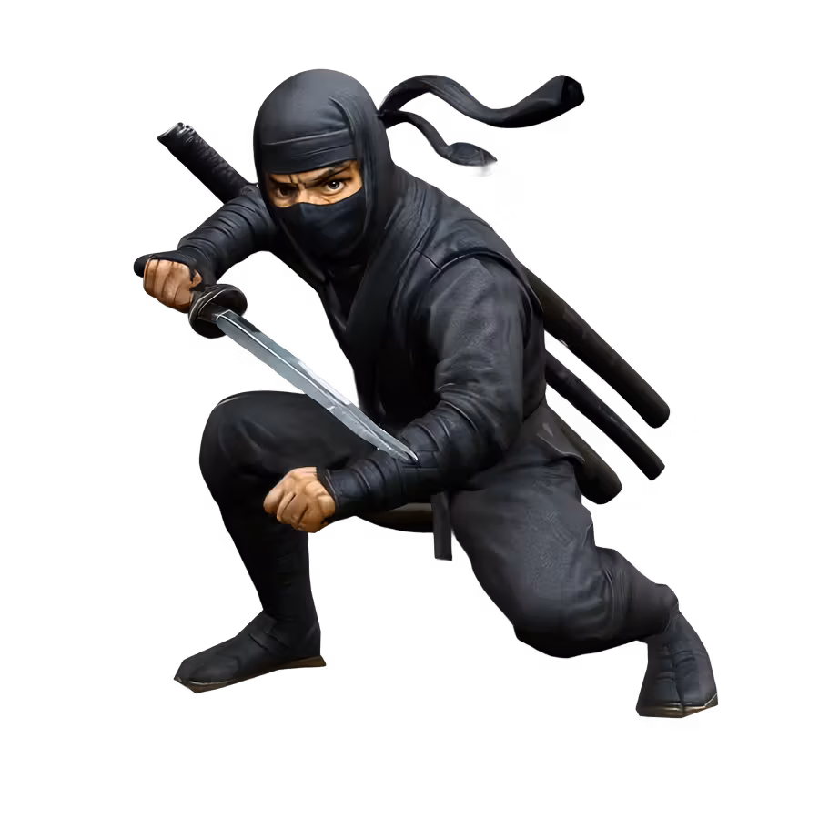 Crouching ninja