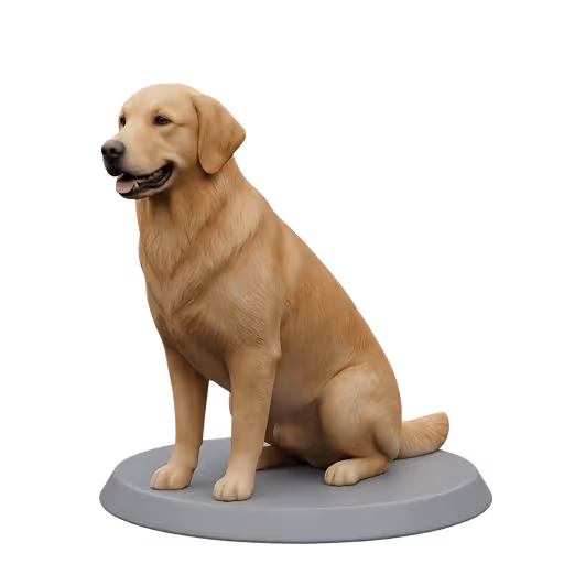 3D printed dog